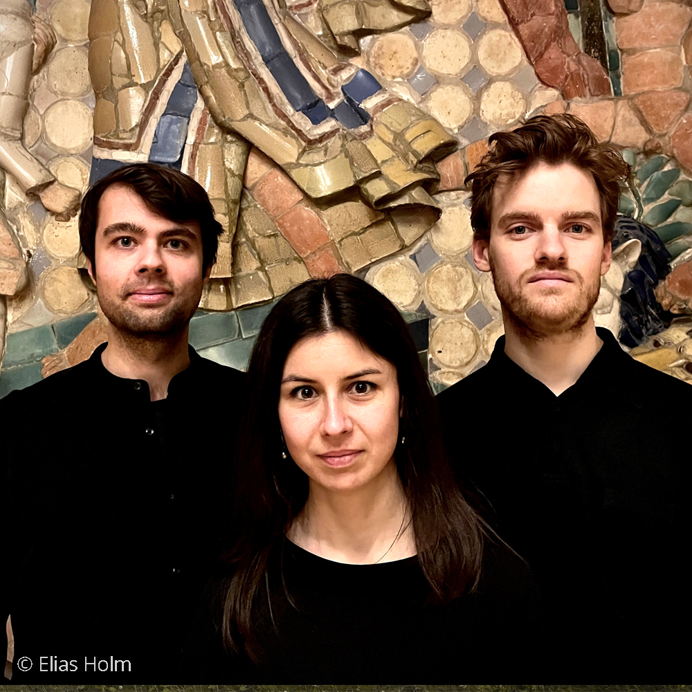 Kern Trio foto Elias Holm